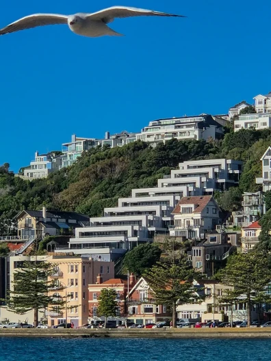 Tauranga land and development