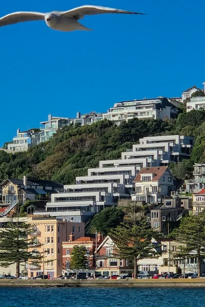 Resource Planning - Wellington townscape