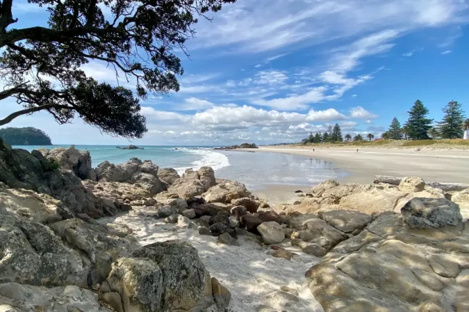 Resource Planning | home hero image